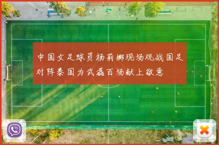 中国女足球员杨莉娜现场观战国足对阵泰国为武磊百场献上敬意